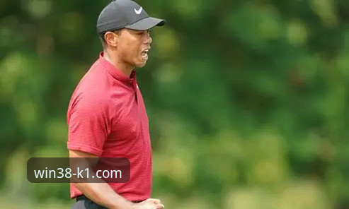 K1体育怎么玩 资深用户分享:从“老虎”伍兹药驾事件看K1体育平台上的体育竞技与健康管理